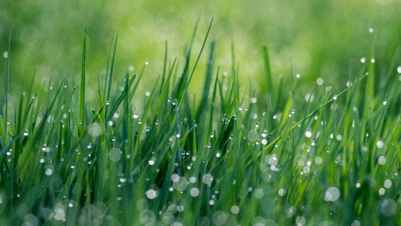 Народные приметы на 19 мая 2024 года: что нельзя делать 