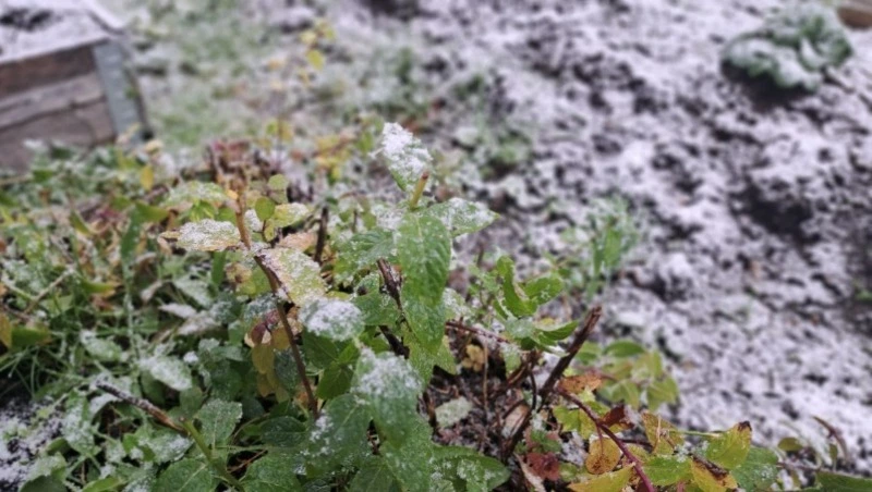 Ухудшение погоды ожидается на Сахалине и Курилах 6 ноября 