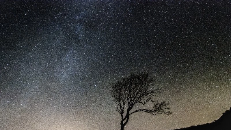 Гороскоп для всех знаков зодиака на 1 сентября 2024 года