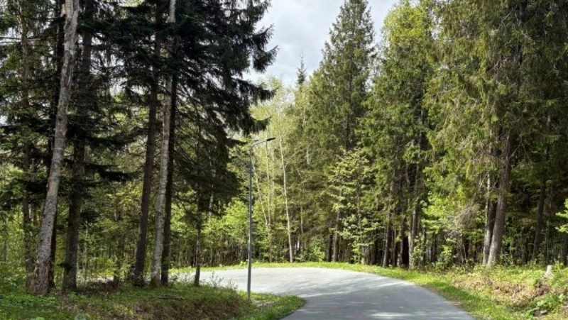 Стало известно, каким будет начало лета на Сахалине и Курилах 