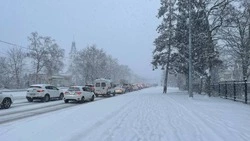 Слабый снег и ночью до -25 градусов: прогноз погоды в Сахалинской области на 24 декабря   