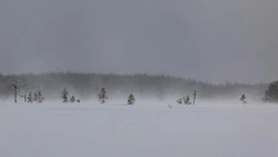 Циклон продолжит засыпать снегом Сахалинскую область 29 января 