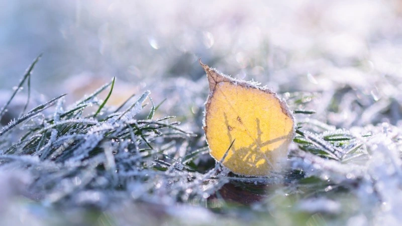 Циклон и первые заморозки: погода в Сахалинской области с 5 по 11 октября 