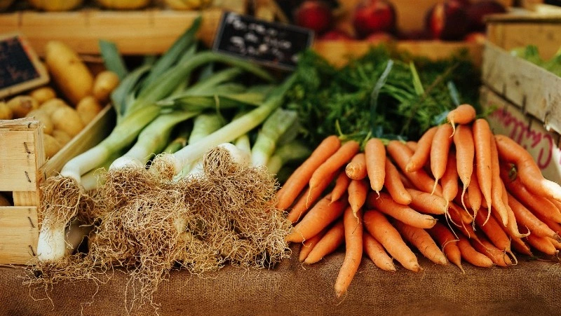 Народные приметы на 18 августа 2024 года: традиции и приметы в день Евстигнея Житника