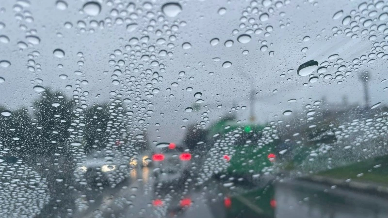 Тепло и дожди разной интенсивности: прогноз погоды в Сахалинской области на неделю