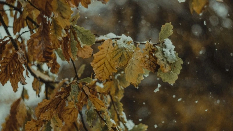 Народные приметы и поверья на 24 октября 2024 года — что нельзя делать в этот день 