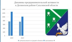 В 2025 году в Долинском районе увеличилась предпринимательская активность 