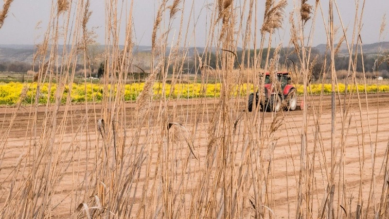 День работника сельского хозяйства 2024: история и традиции праздника