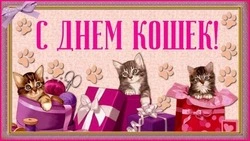 День кошек в России — 2025: картинки и открытки 