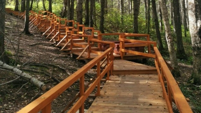 Янтарный парк только начинает свою историю