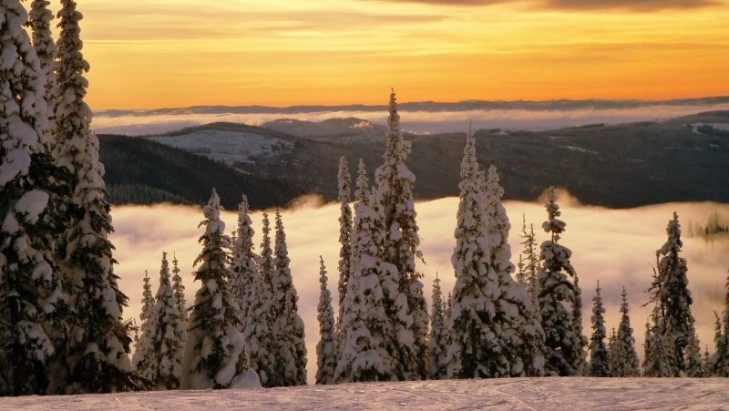 Народные приметы на 5 декабря 2024: традиции, поверья, что нельзя делать в Прокопьев день