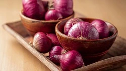 Когда сажать лук в 2025 году по лунному календарю: советы дачникам 