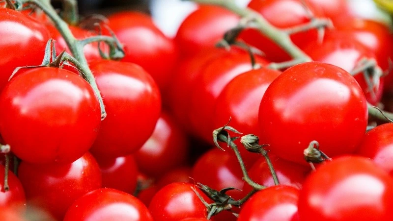 Народные приметы на 11 сентября 2024: что можно и нельзя делать в день Ивана Постного