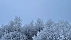 Ночные морозы и оттепель днем: прогноз погоды в Сахалинской области на 28 февраля 