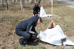 Школьники села Покровка привели в порядок деревья