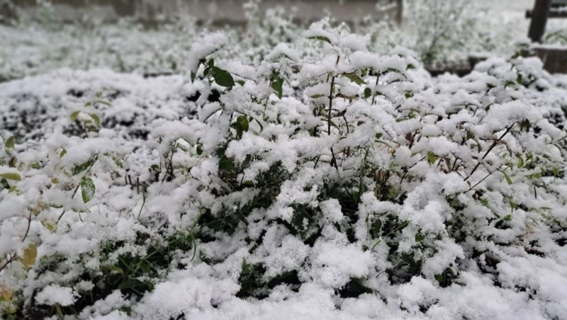 Мороз ночью и снег днем: прогноз погоды в Сахалинской области на 7 ноября