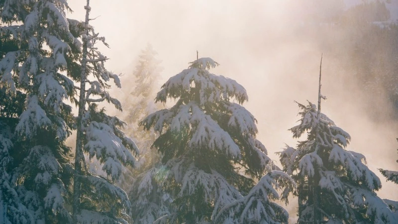 Церковный праздник 26 декабря 2024 — что нельзя делать, народные приметы 