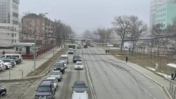 Термометры покажут до +20 градусов в Сахалинской области 16 апреля    