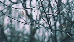 Мороз и усиление ветра пообещали жителям нескольких районов Сахалинской области 13 ноября 