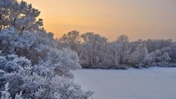 Метель и сильный мороз ожидаются в одном из районов Сахалинской области 17 декабря 