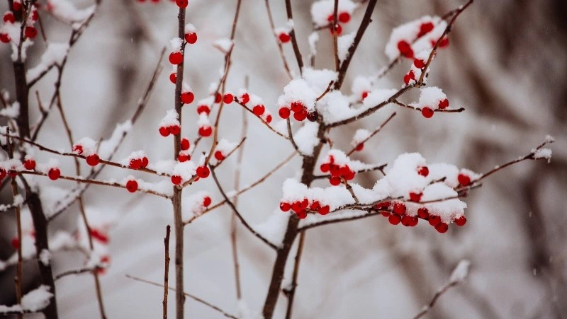 Народные приметы на 3 апреля 2025: традиции, поверья, что нельзя делать в день Кирилла Катанского