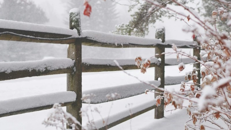 Народные приметы на 28 января 2025: почему Павлов день считается опасным