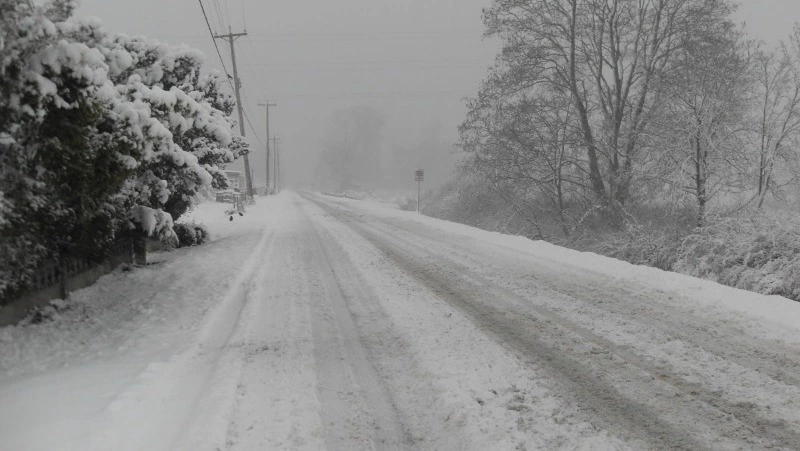 Сильный снег и -1 градус днем: погода в Сахалинской области 10 января