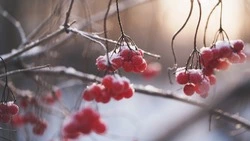 Народные приметы на 31 марта 2025 года: традиции, поверья, что нельзя делать в Кириллов день