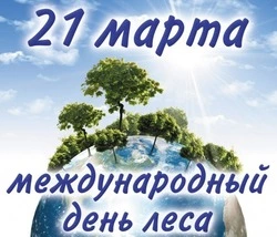 Международный день лесов 2025: красивые картинки и открытки    