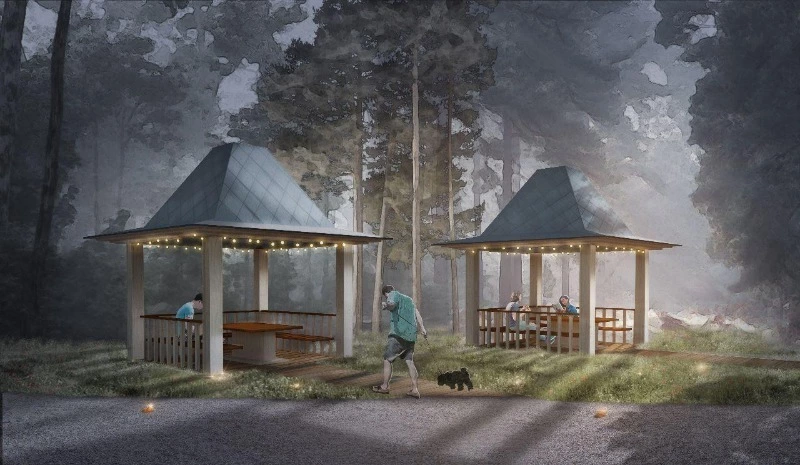 Долинцев приглашают на прогулку по "Янтарному парку" будущего