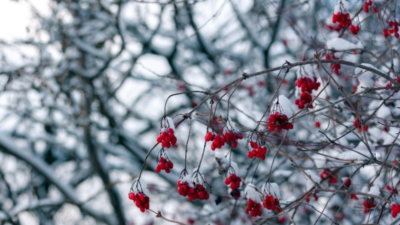Народные приметы и поверья на 26 февраля 2025 года — что нельзя делать в Мартынов день 