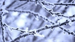 Сильный снег и метели обрушатся на Сахалин и Курилы: прогноз погоды на 17 января 