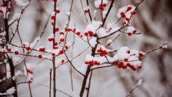 Народные приметы на 3 апреля 2025: традиции, поверья, что нельзя делать в день Кирилла Катанского 