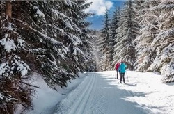 В Долинском парке работает прокат лыж