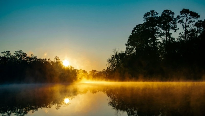Петров день 2024: народные приметы, традиции, что нельзя делать 12 июля 