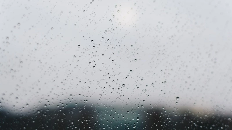 Дожди и северный ветер: погода на Сахалине и Курилах 20 сентября