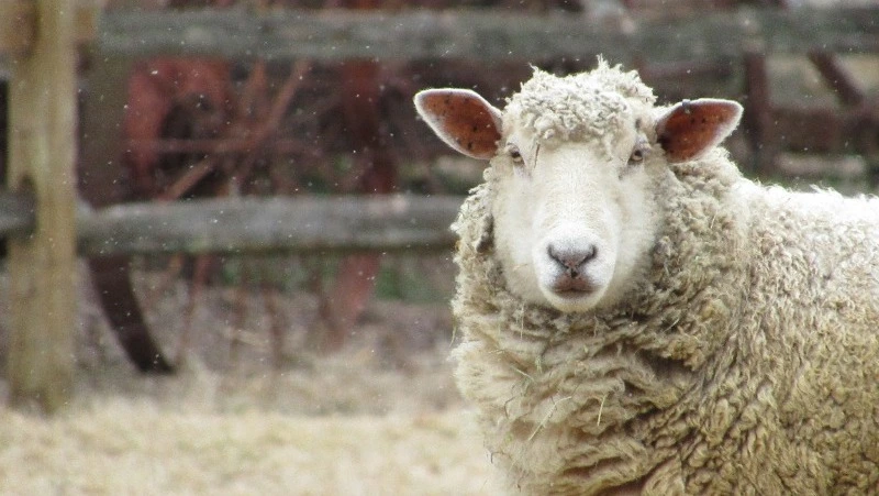 Народные приметы и поверья на 11 ноября 2024 года — что нельзя делать в этот день 