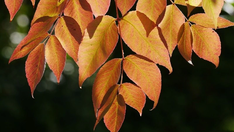 Народные приметы и поверья на 4 октября 2024 года — что нельзя делать в Кондратьев день