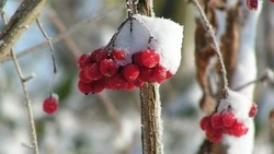 Народный календарь на декабрь 2024 года: список праздников на каждый день   