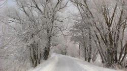 Сильный мороз и ветер до 22 м/с: прогноз погоды в Сахалинской области на 18 февраля 