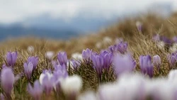 Народный календарь на апрель 2025 года: праздники 