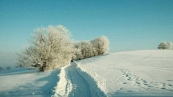 Плюсовая температура сохранится: прогноз погоды на Сахалине и Курилах на 23 января 