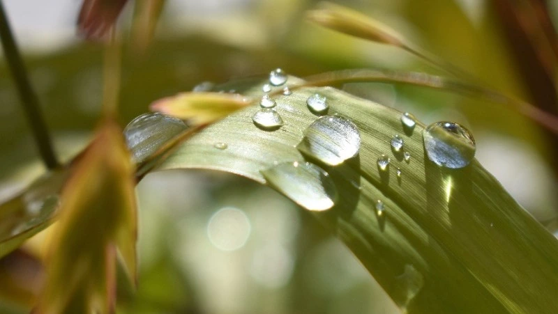 Народные приметы на 25 июля 2024: что можно и нельзя делать в этот день 