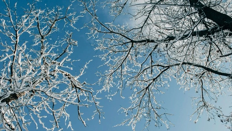 Народные приметы и поверья на 21 января 2025 года — что нельзя делать в Емелин день