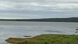 Циклон и кратковременные дожди: погода на Сахалине и Курилах на 14-20 сентября