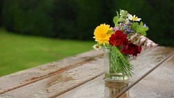 Пасмурная и дождливая пятница ждет жителей Сахалина и Курил 12 июля 