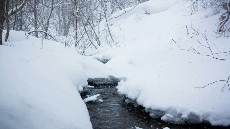 Циклон с Хабаровского края затронет Сахалин: прогноз погоды на неделю с 22 по 28 февраля 