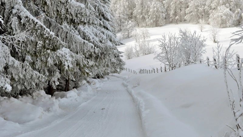 Народные приметы на 20 декабря 2024: поверья, что можно и нельзя делать в Амвросиев день