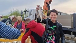 Более 98 тонн доступной рыбы реализовано в Долинском районе в 2025 году 