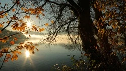 Теплая и ясная погода ожидается на Сахалине в пятницу, 4 октября      